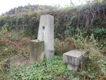 Fontes Públicas