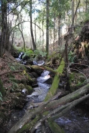 O Rio Mezio