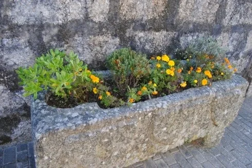 Sarcófago